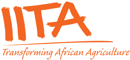 IITA And Partners Launch EBS Maize Platform To Modernize Breeding IITA And Partners Launch EBS Maize Platform To Modernize Breeding