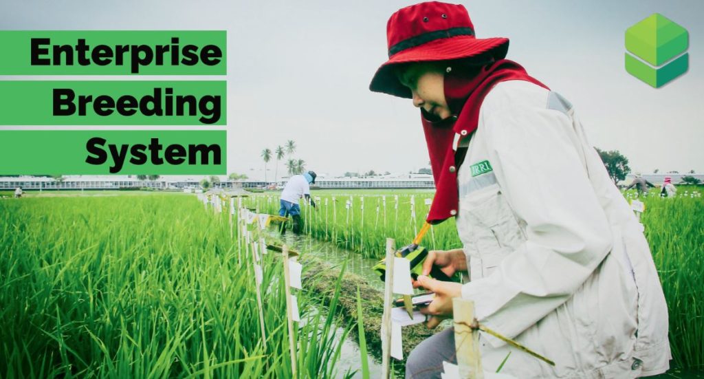 EBS AT IRC COVER IMAGE