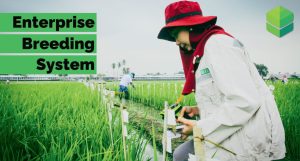 EBS AT IRC COVER IMAGE