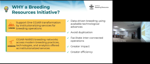 First BRS general meeting conducted for EBS and service laboratory teams at IRRI HQ
